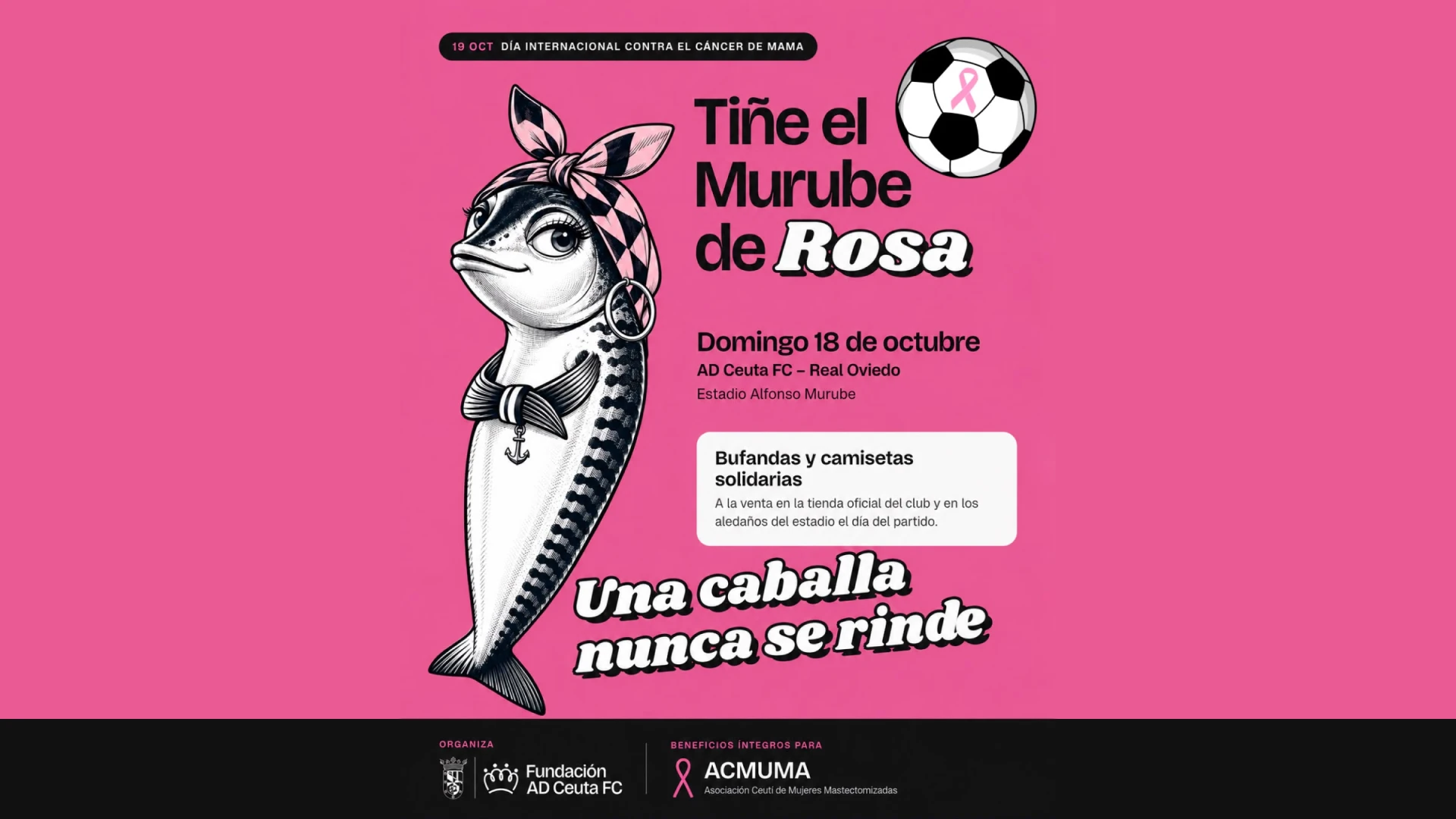 imagen del cartel promocional de la campaña "tiñe el murube de rosa"